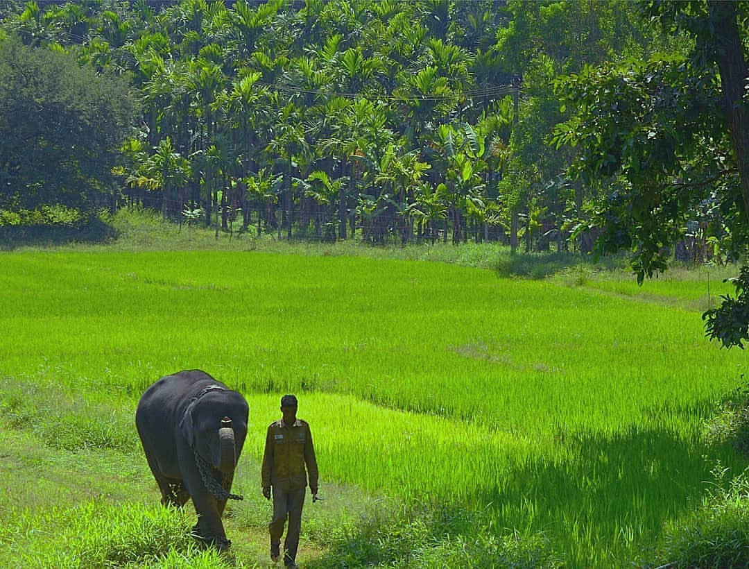 karnataka_focus-30112021-0001.jpg